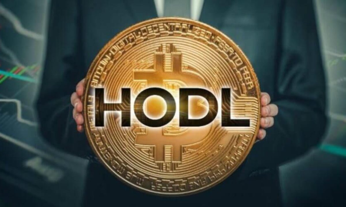 Hodl hay Hold coin là gì?