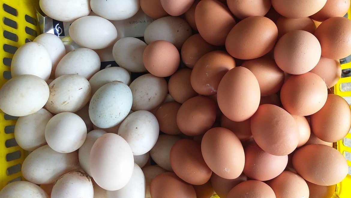 Nhiều người mua trứng về trữ trong mùa dịch khiến giá trứng tăng mạnh
