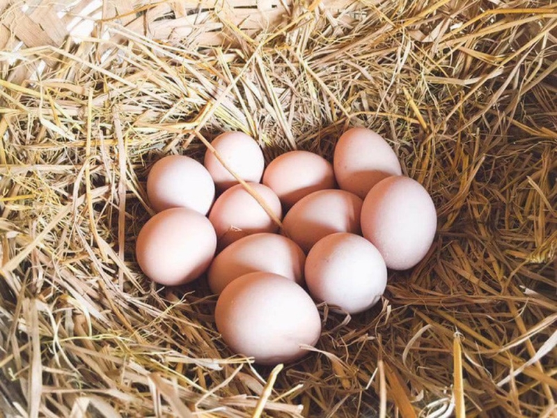 Giá trứng tăng mạnh so với ngày thường