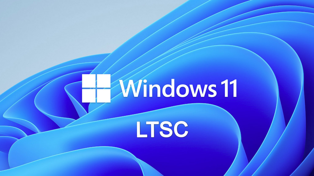 Windows 11 ltsc что это