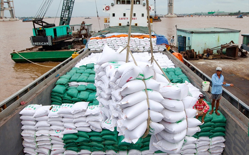 Xuất khẩu gạo sang Châu Phi doanh nghiệp gặp nhiều rào cản